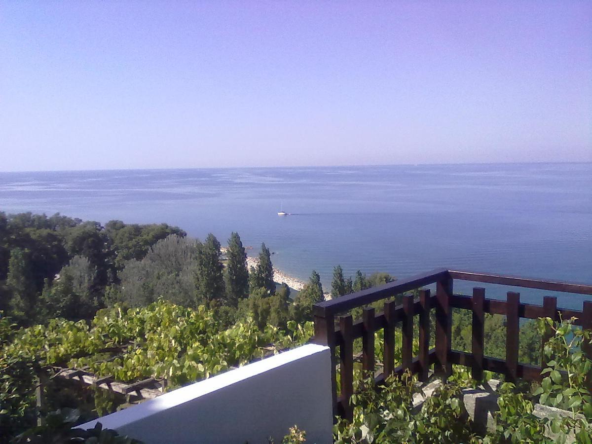 Appartement Pelion Orama à Agios Ioannis  Extérieur photo