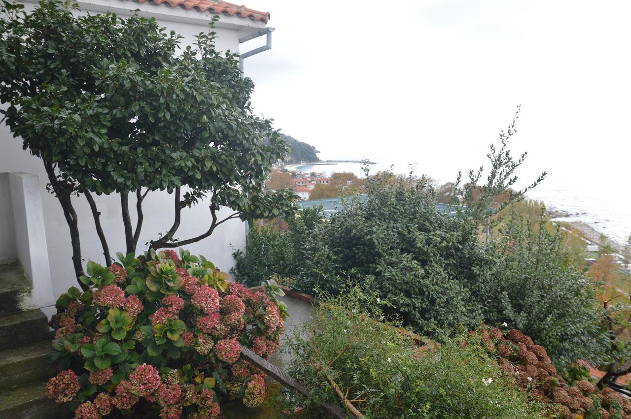 Appartement Pelion Orama à Agios Ioannis  Extérieur photo
